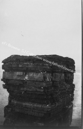 BALLYCASTLE DOONABRISTA ROCK TOP OF ROCK SHOWING BIRDS & RUINS